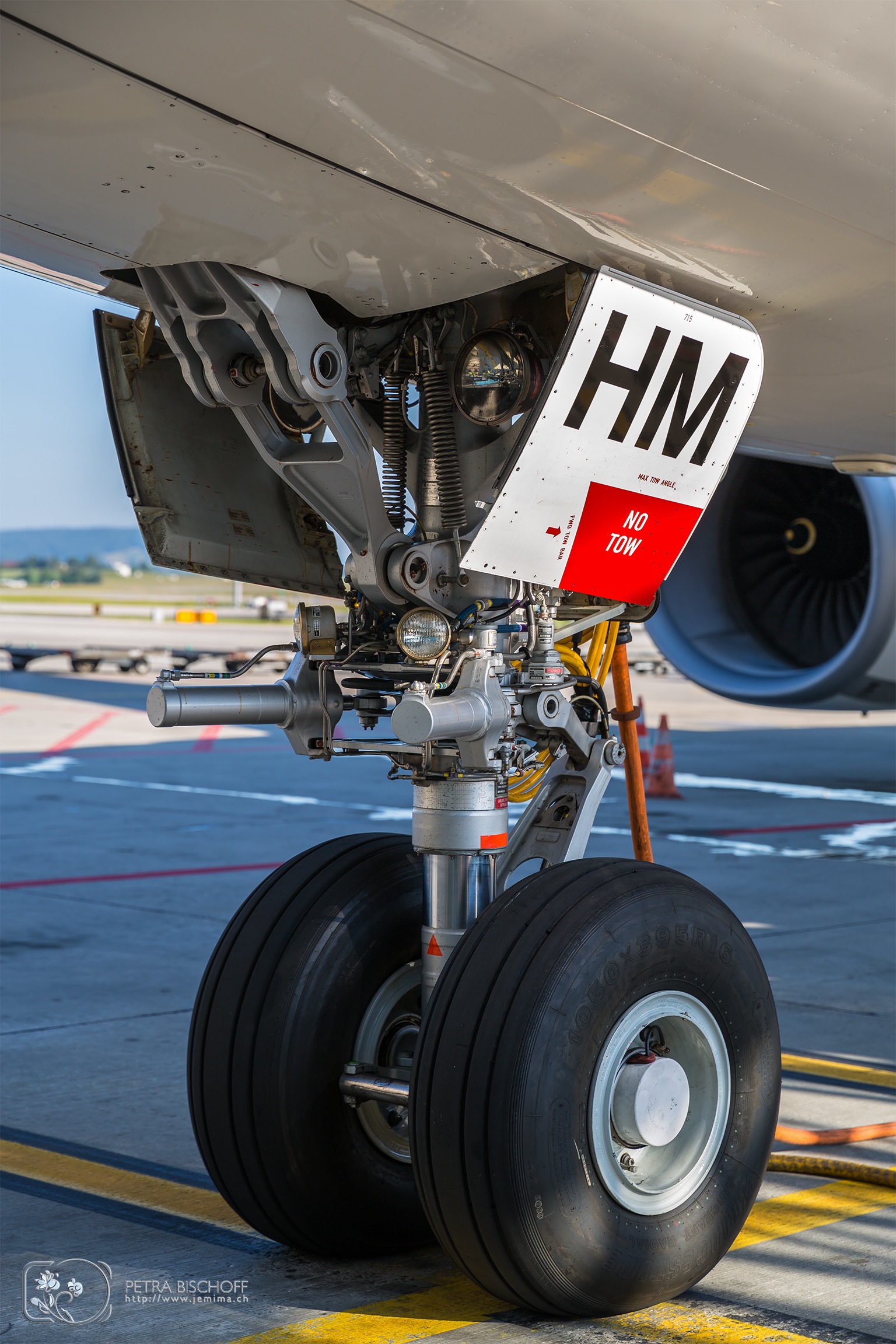 &copy; Petra Bischoff