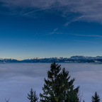 _DSC7760 Panorama.jpg