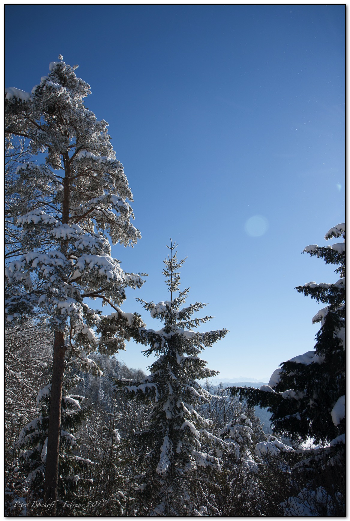 &copy; Petra Bischoff