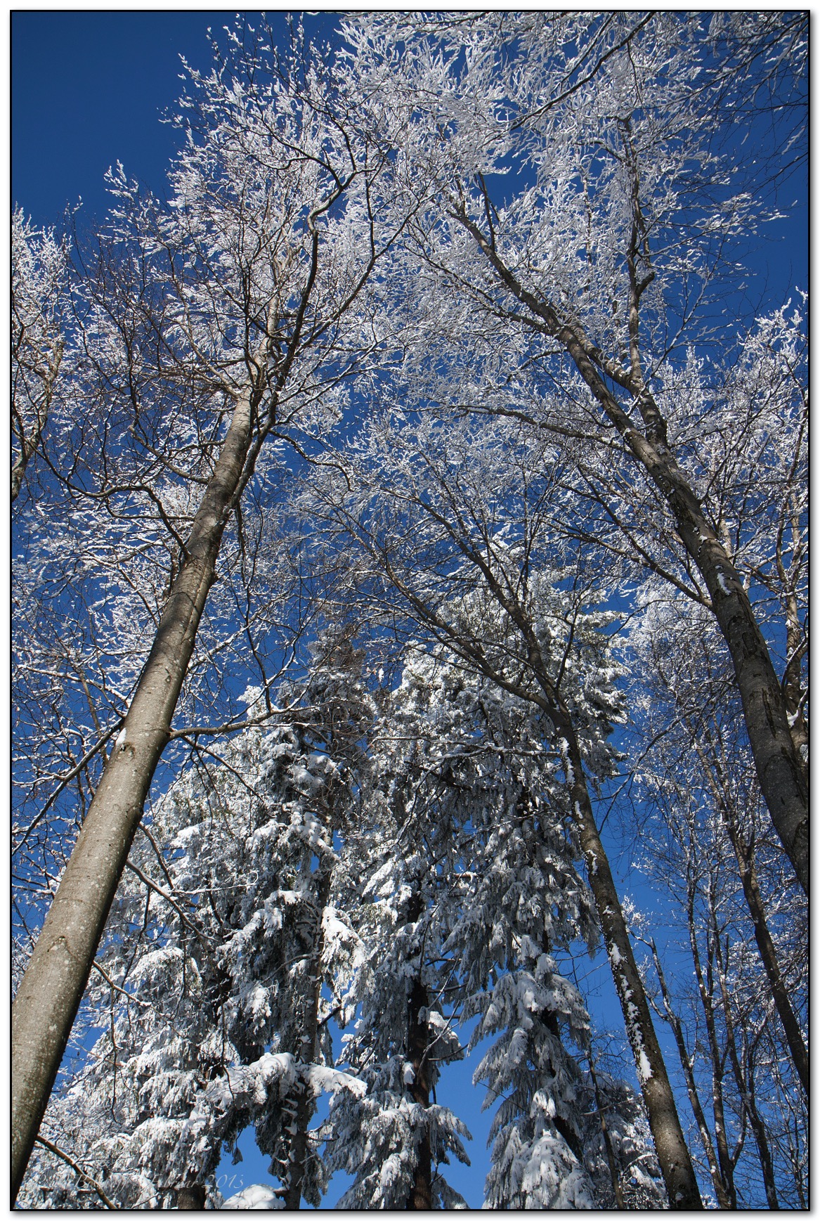 &copy; Petra Bischoff