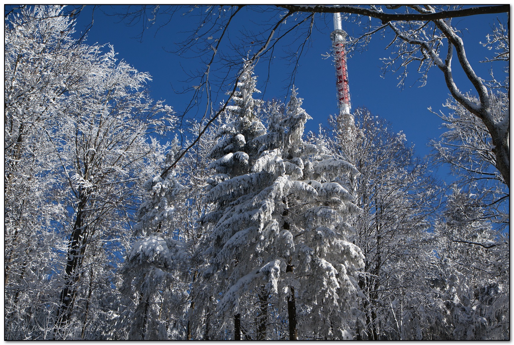 &copy; Petra Bischoff