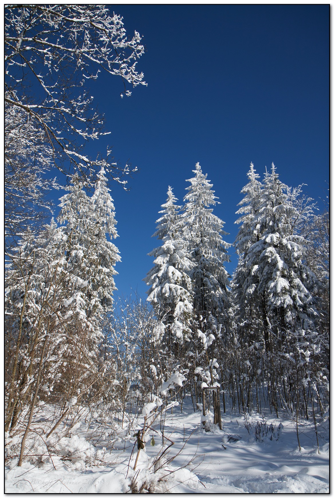 &copy; Petra Bischoff