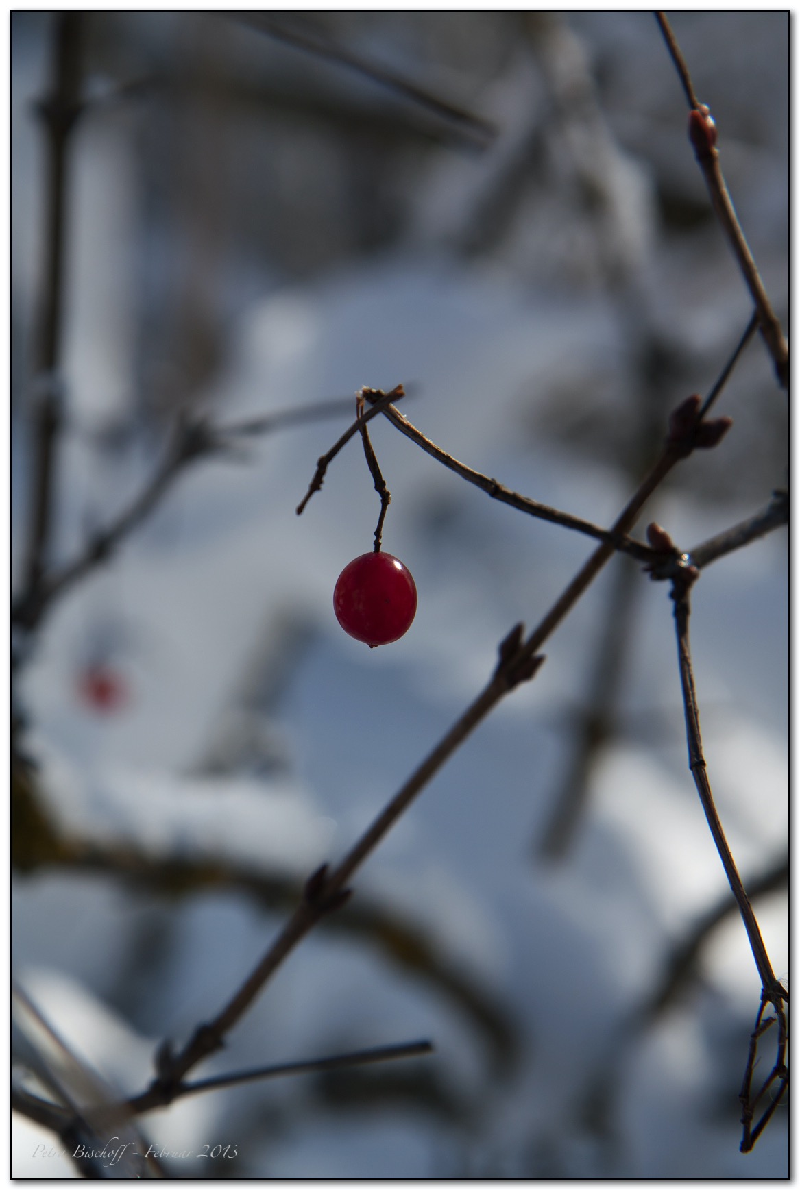 &copy; Petra Bischoff