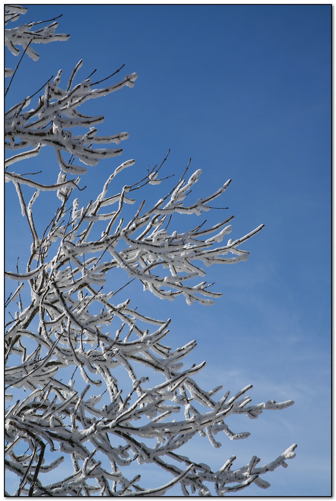 &copy; Petra Bischoff