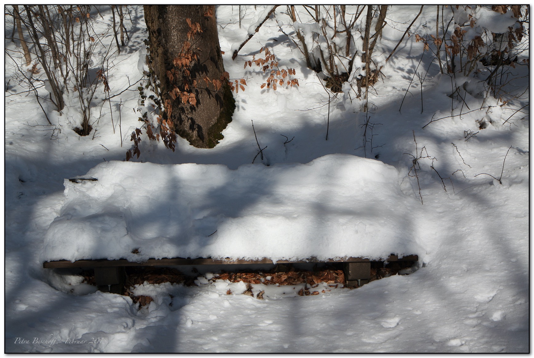 &copy; Petra Bischoff