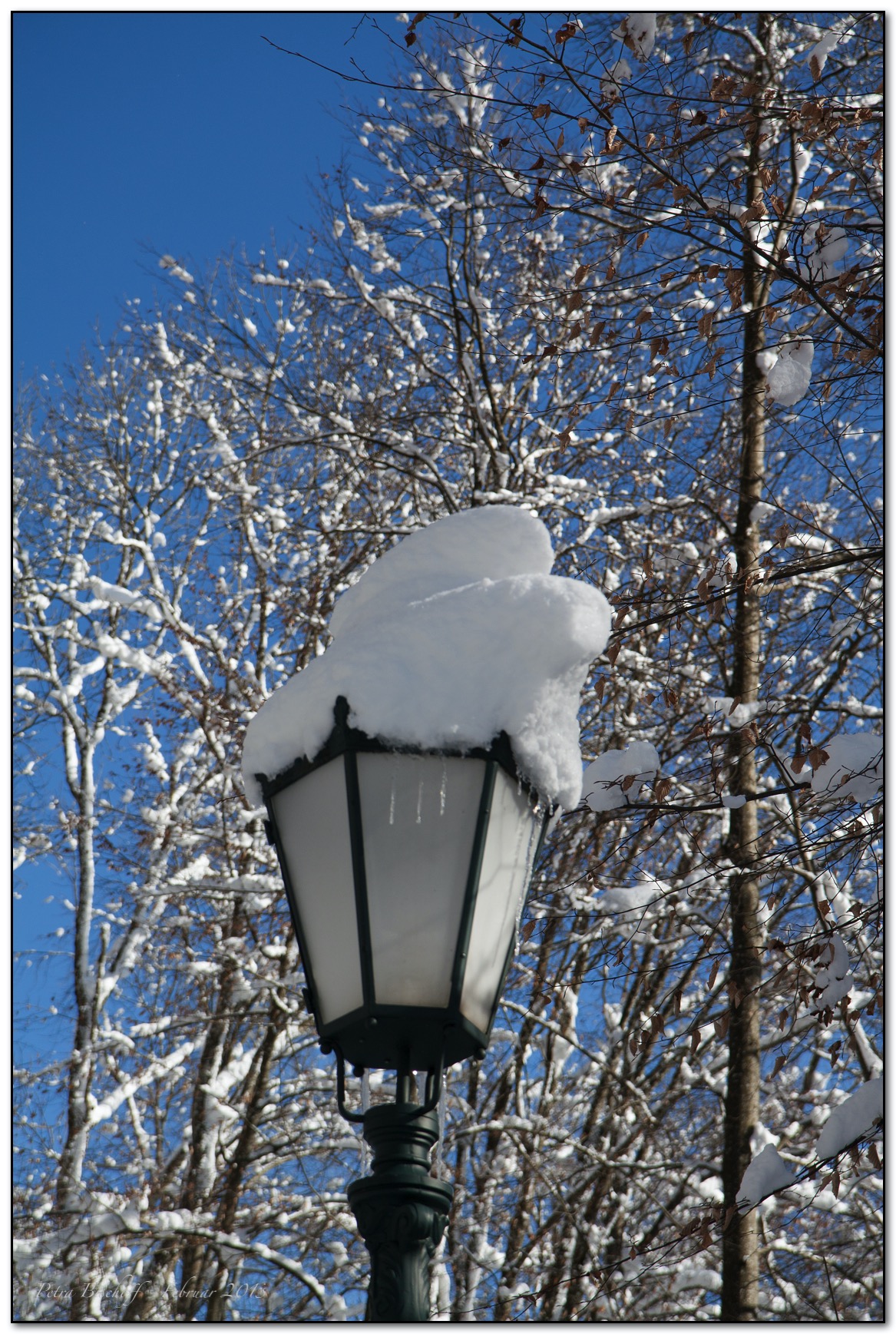 &copy; Petra Bischoff