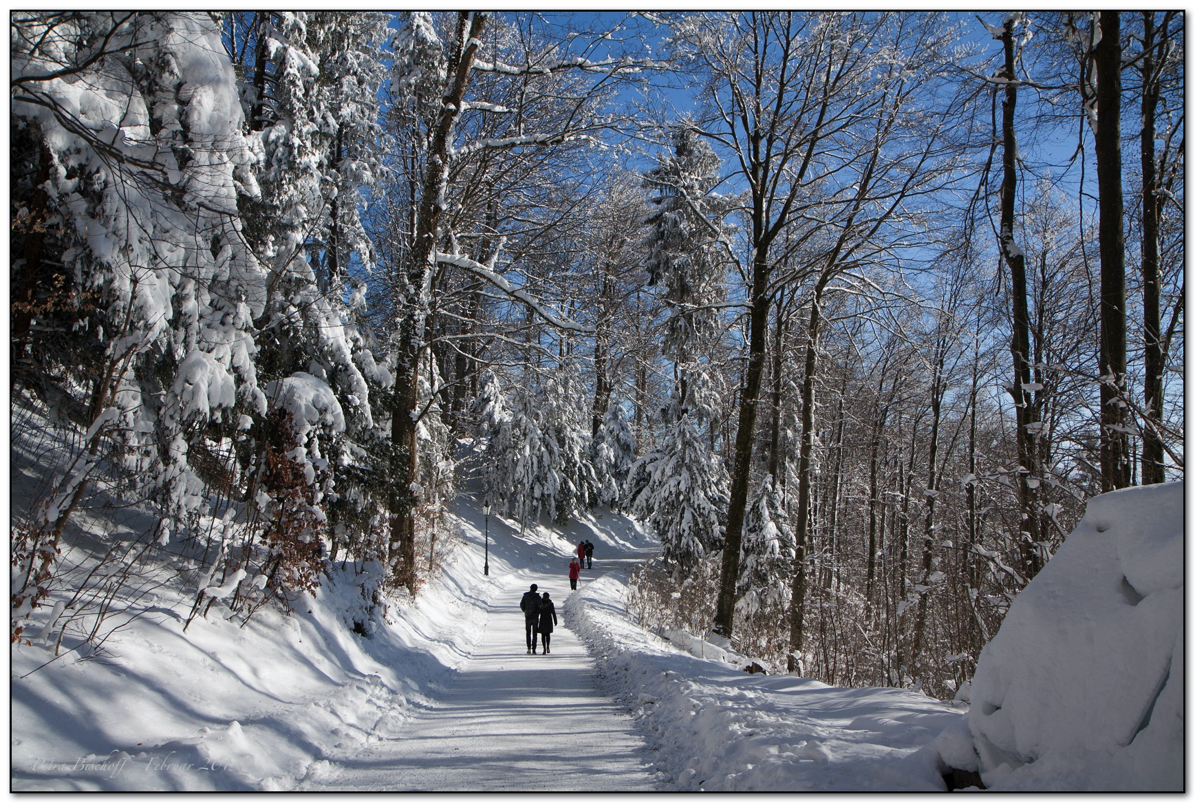 &copy; Petra Bischoff