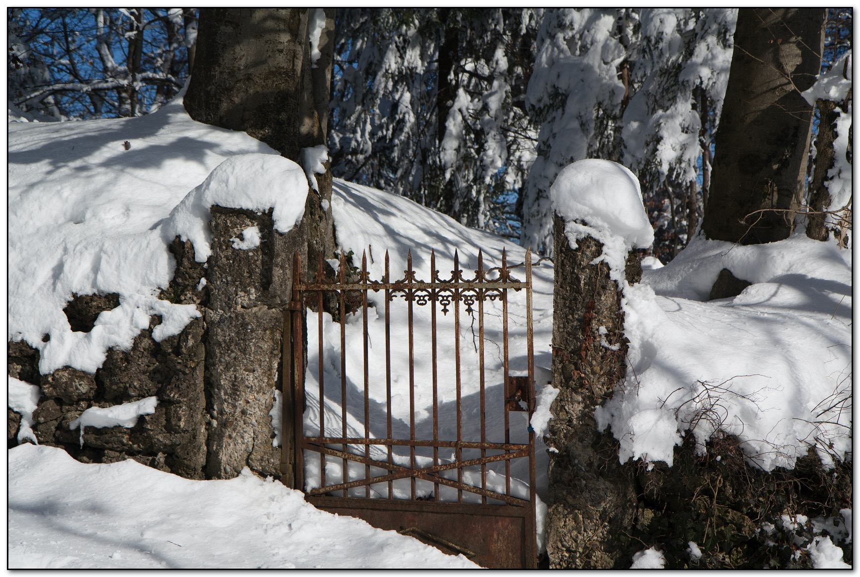 &copy; Petra Bischoff