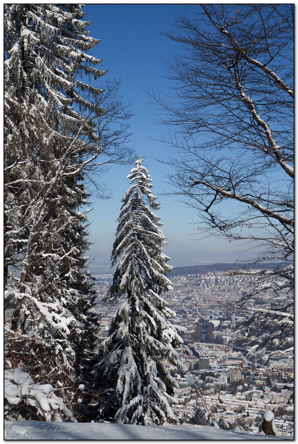 &copy; Petra Bischoff