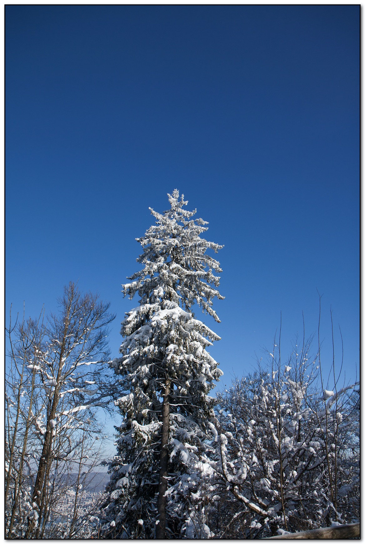 &copy; Petra Bischoff