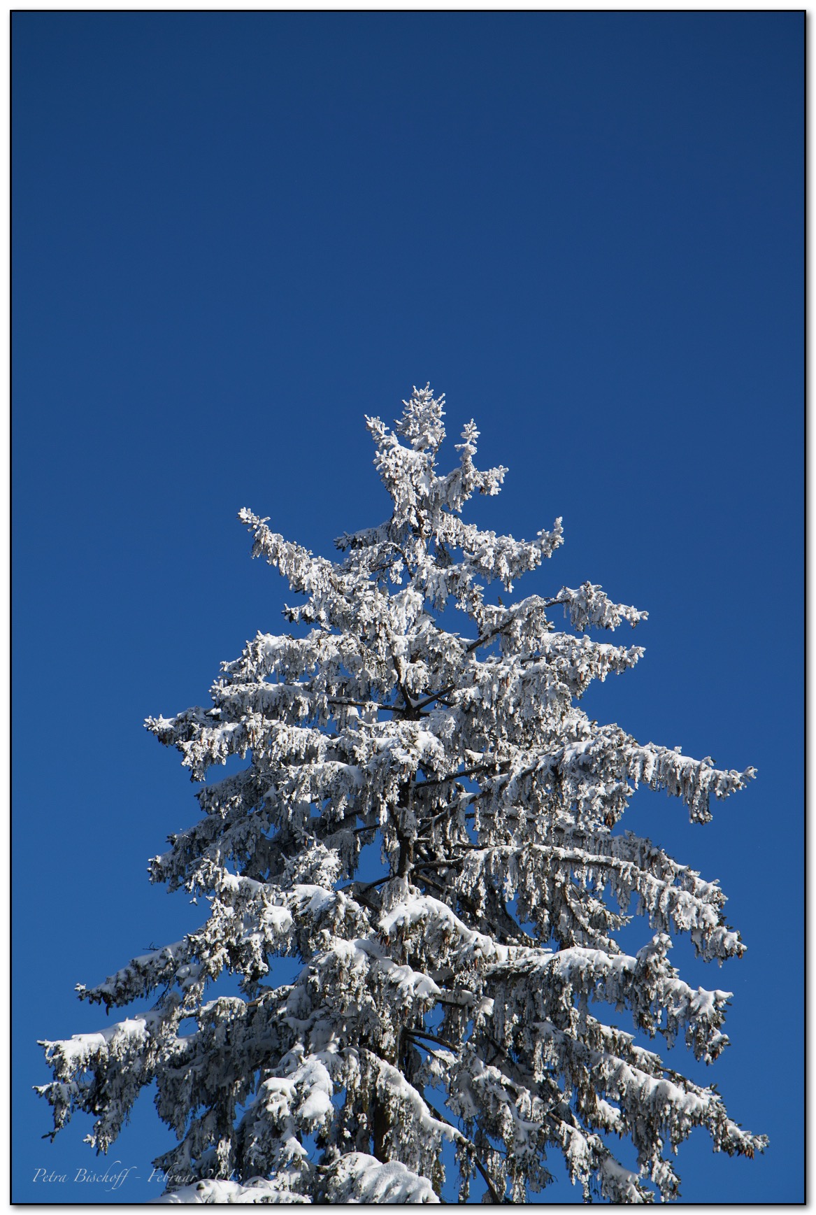 &copy; Petra Bischoff