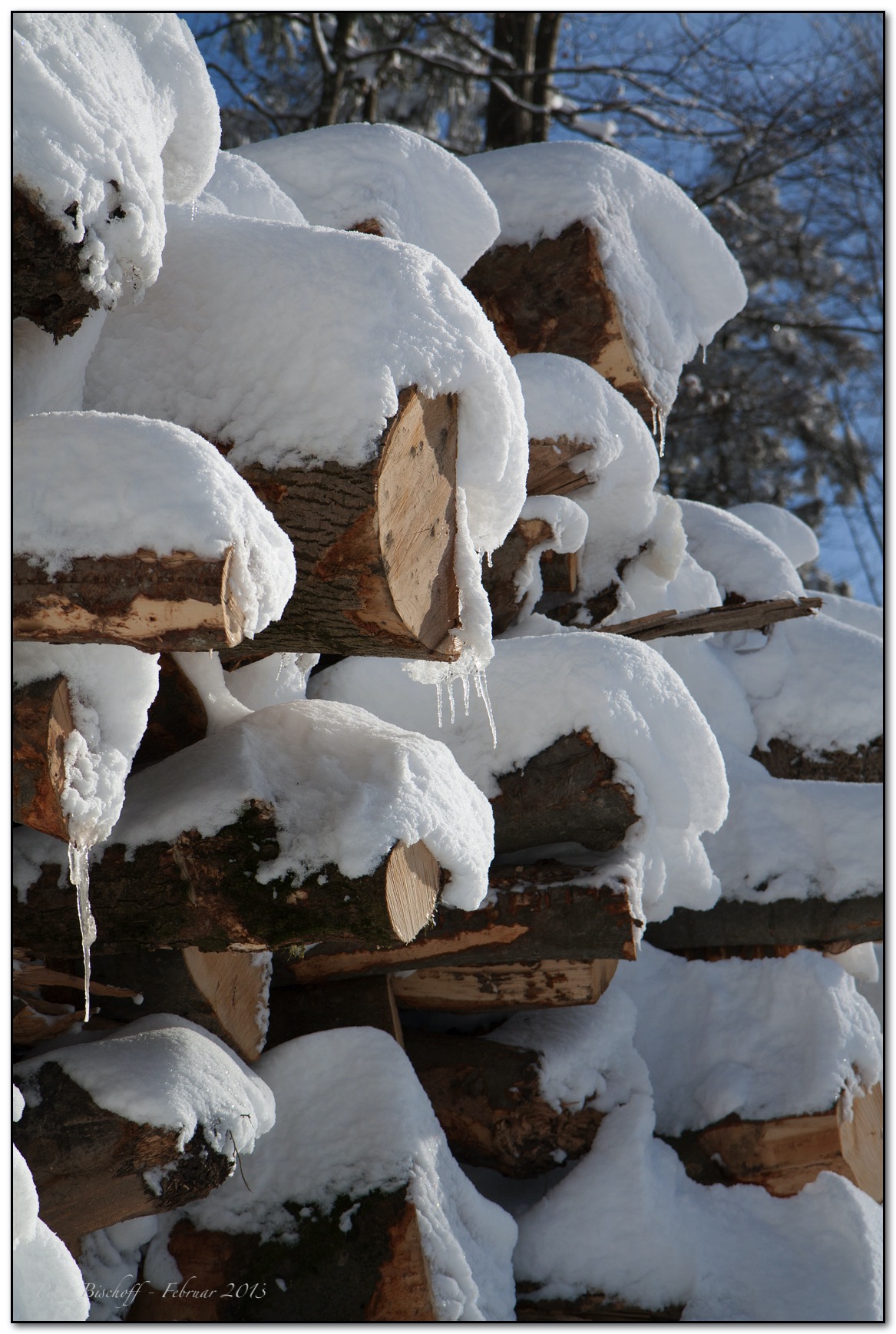 &copy; Petra Bischoff