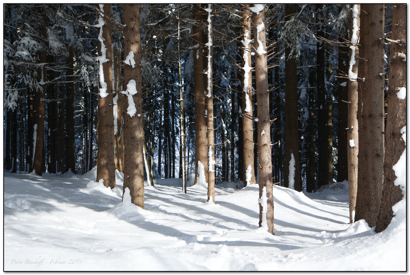 &copy; Petra Bischoff