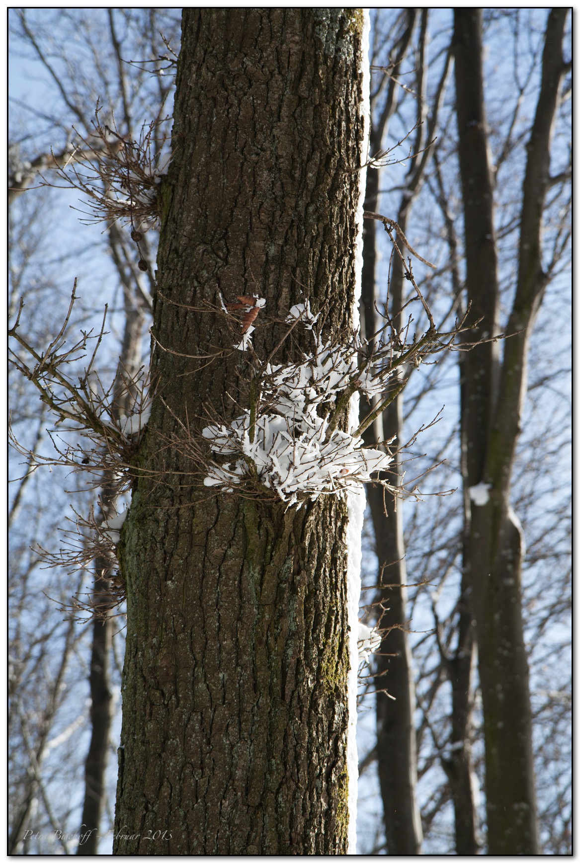 &copy; Petra Bischoff