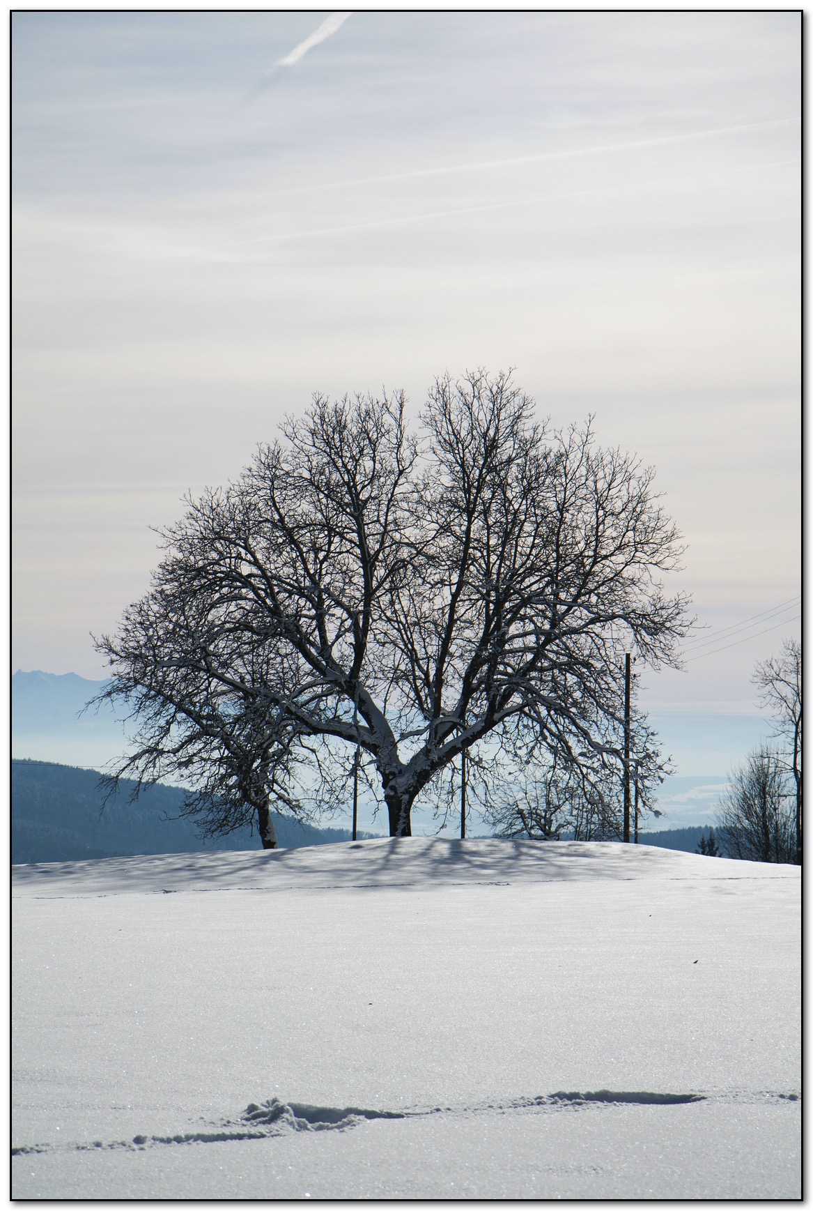 &copy; Petra Bischoff