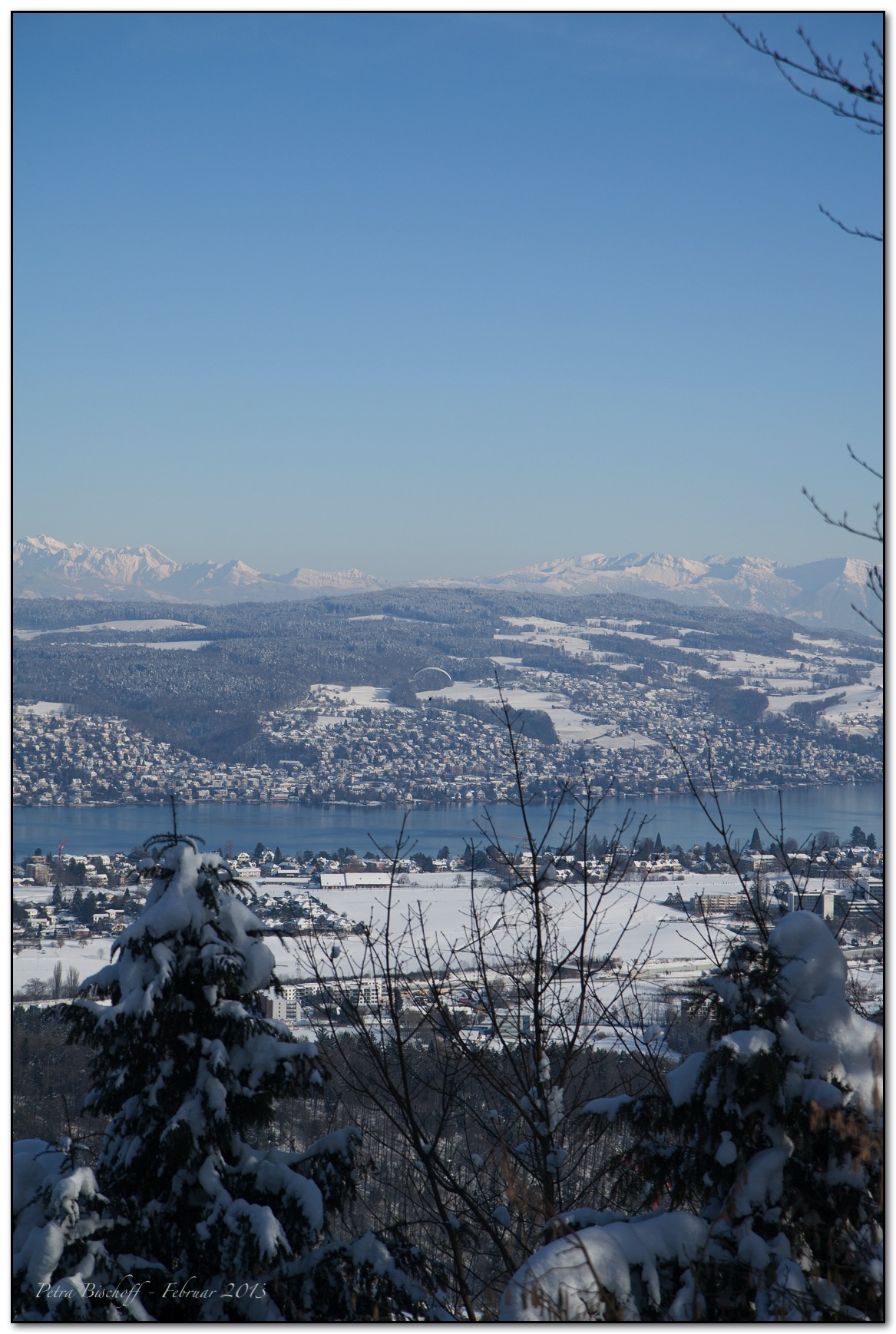 &copy; Petra Bischoff