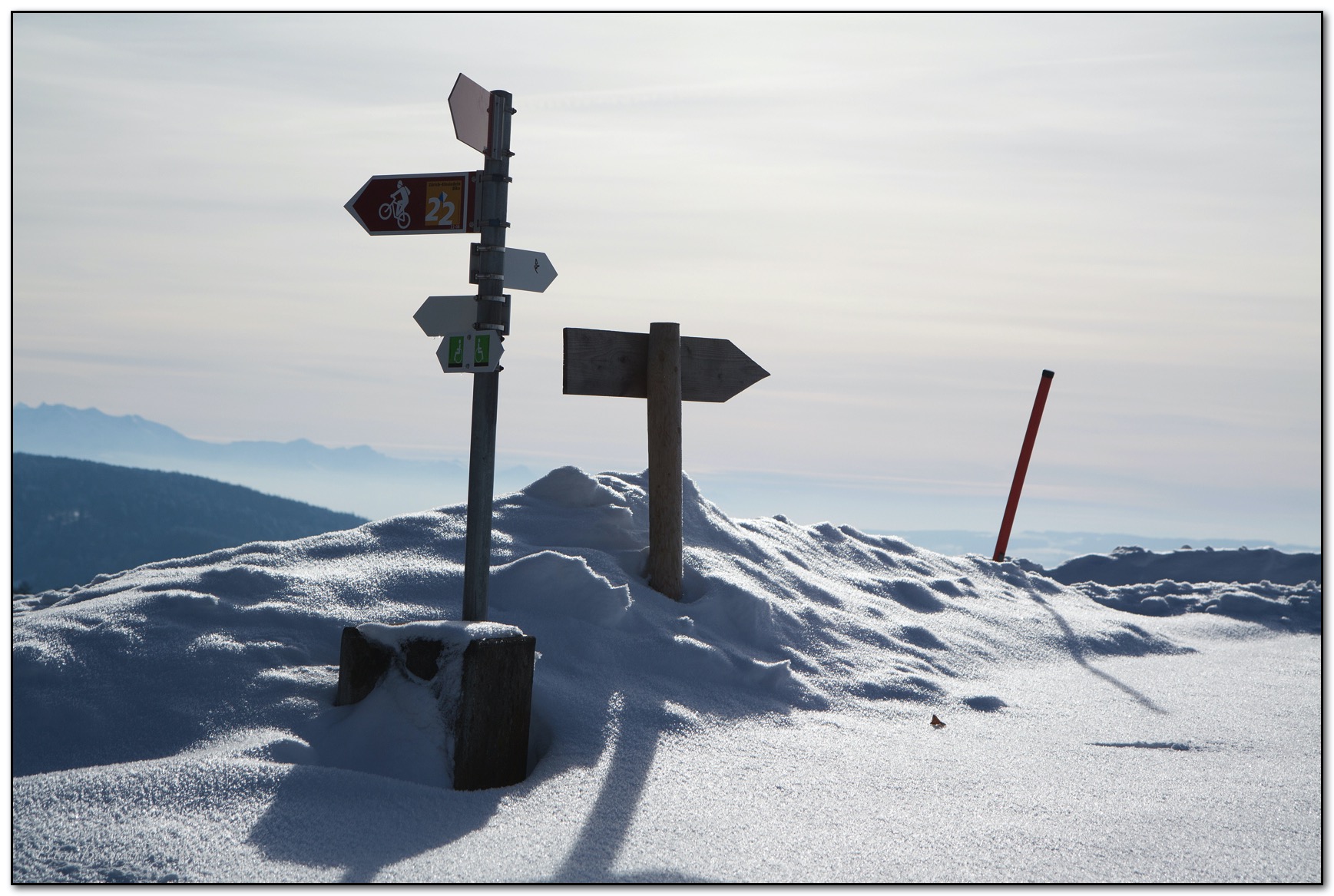 &copy; Petra Bischoff