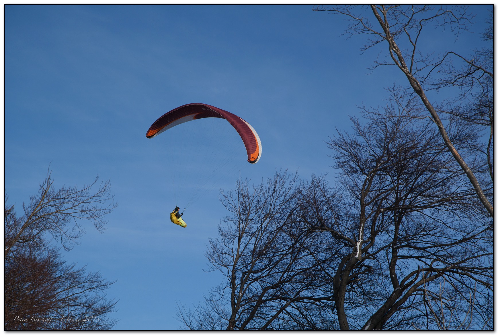 &copy; Petra Bischoff