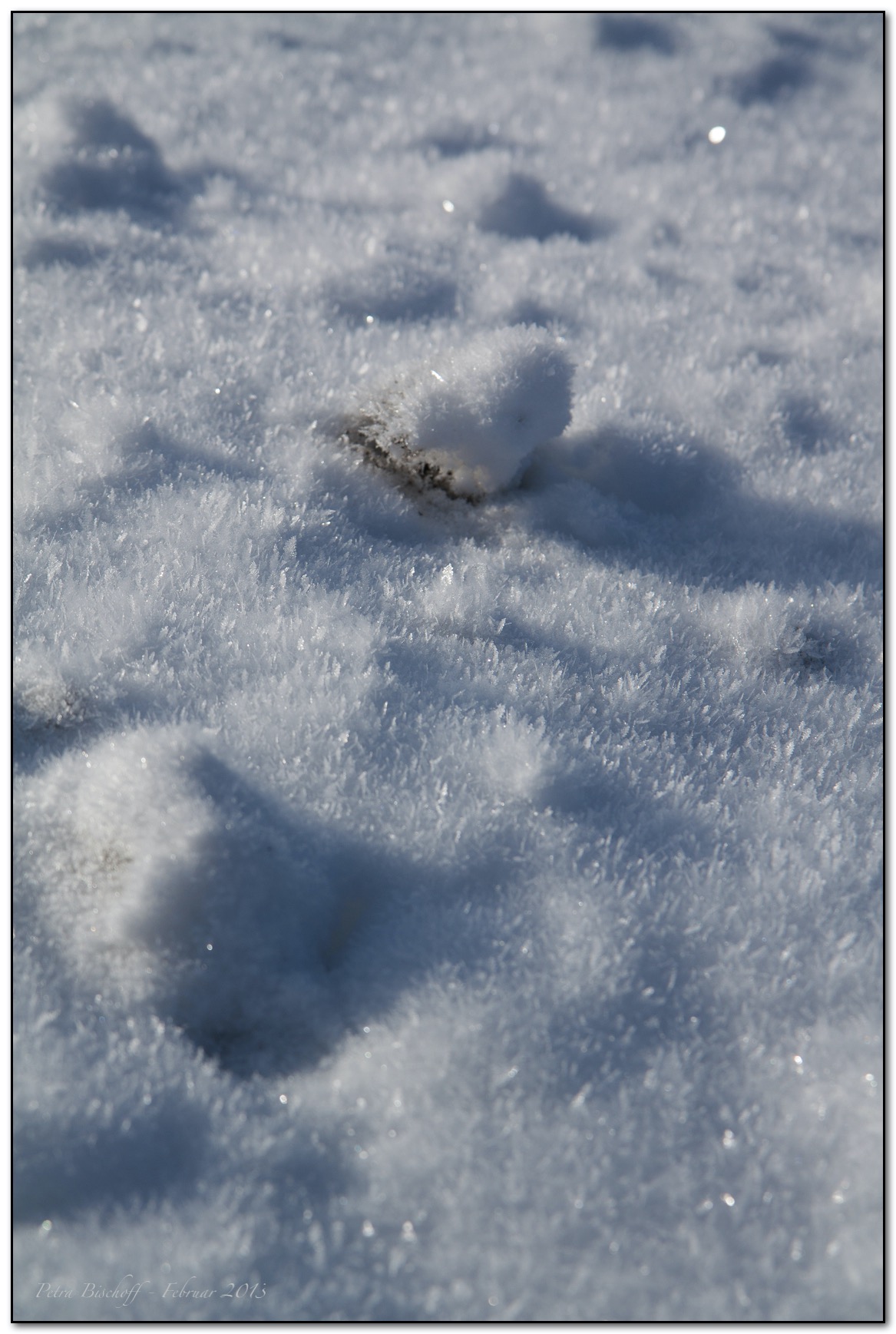 &copy; Petra Bischoff