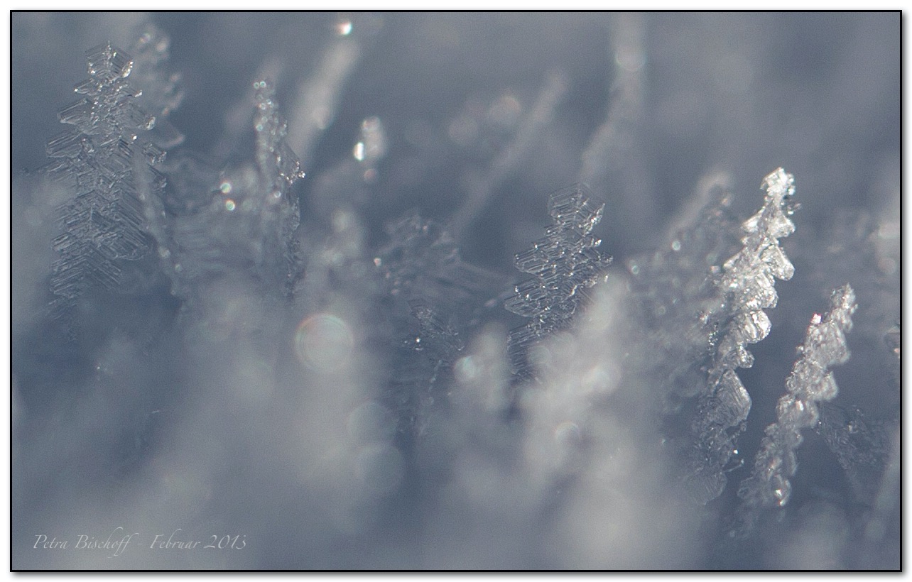 &copy; Petra Bischoff