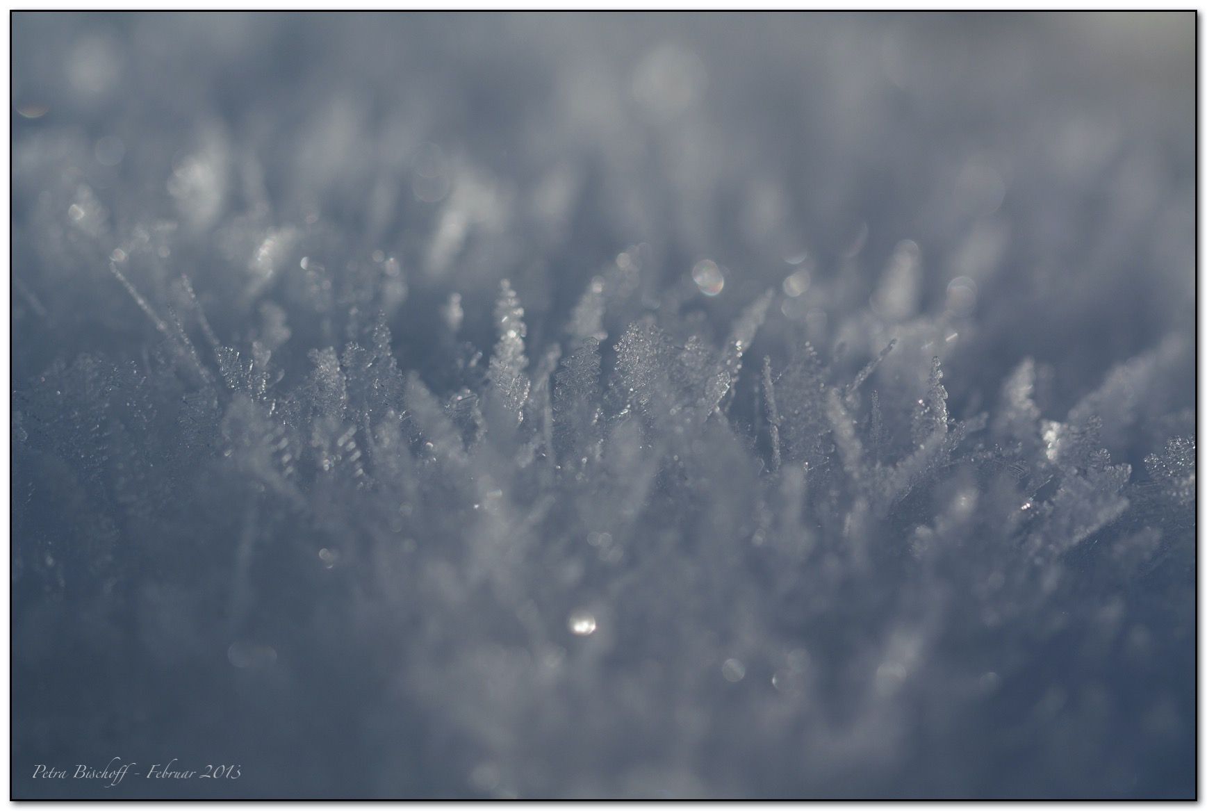 &copy; Petra Bischoff