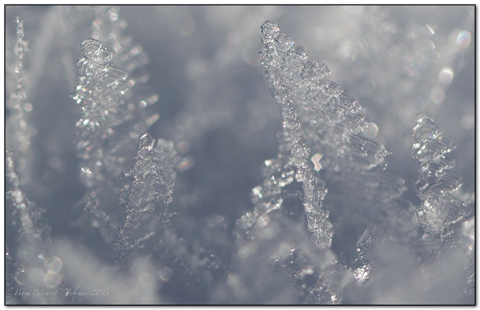 &copy; Petra Bischoff