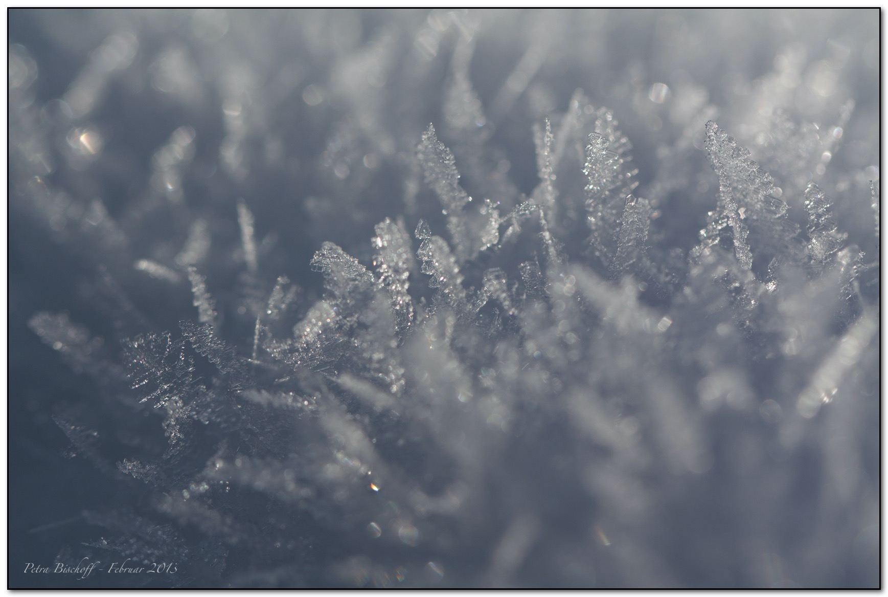 &copy; Petra Bischoff