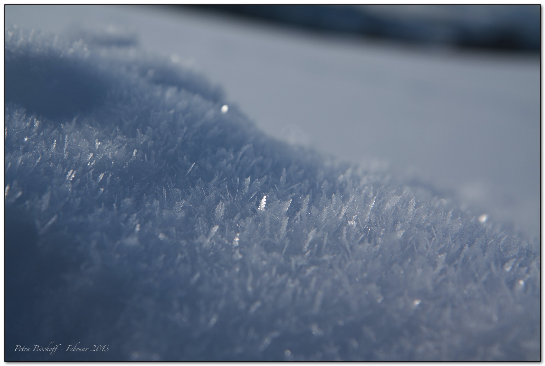 &copy; Petra Bischoff