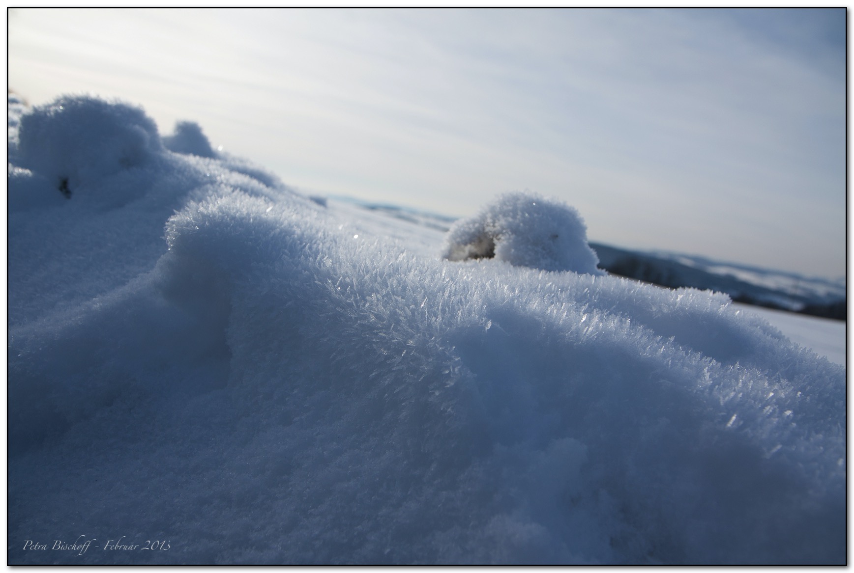 &copy; Petra Bischoff