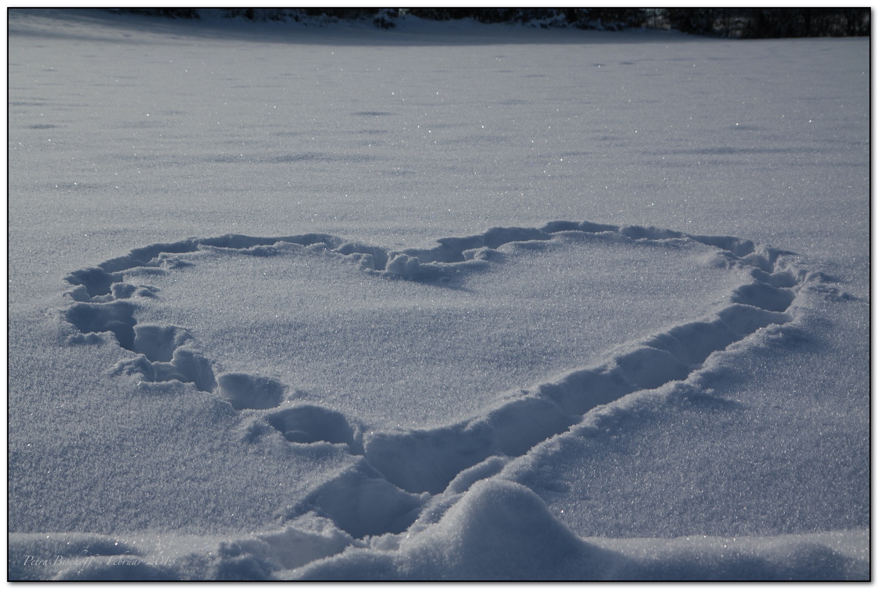 &copy; Petra Bischoff