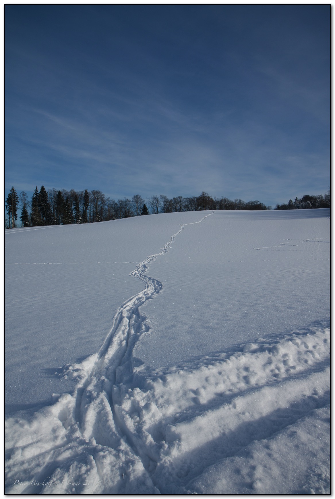 &copy; Petra Bischoff