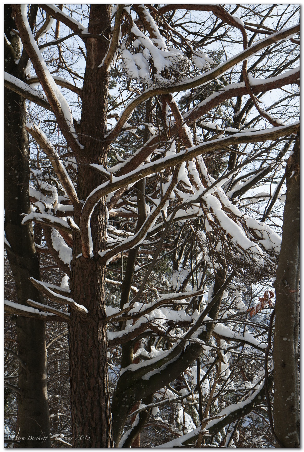 &copy; Petra Bischoff