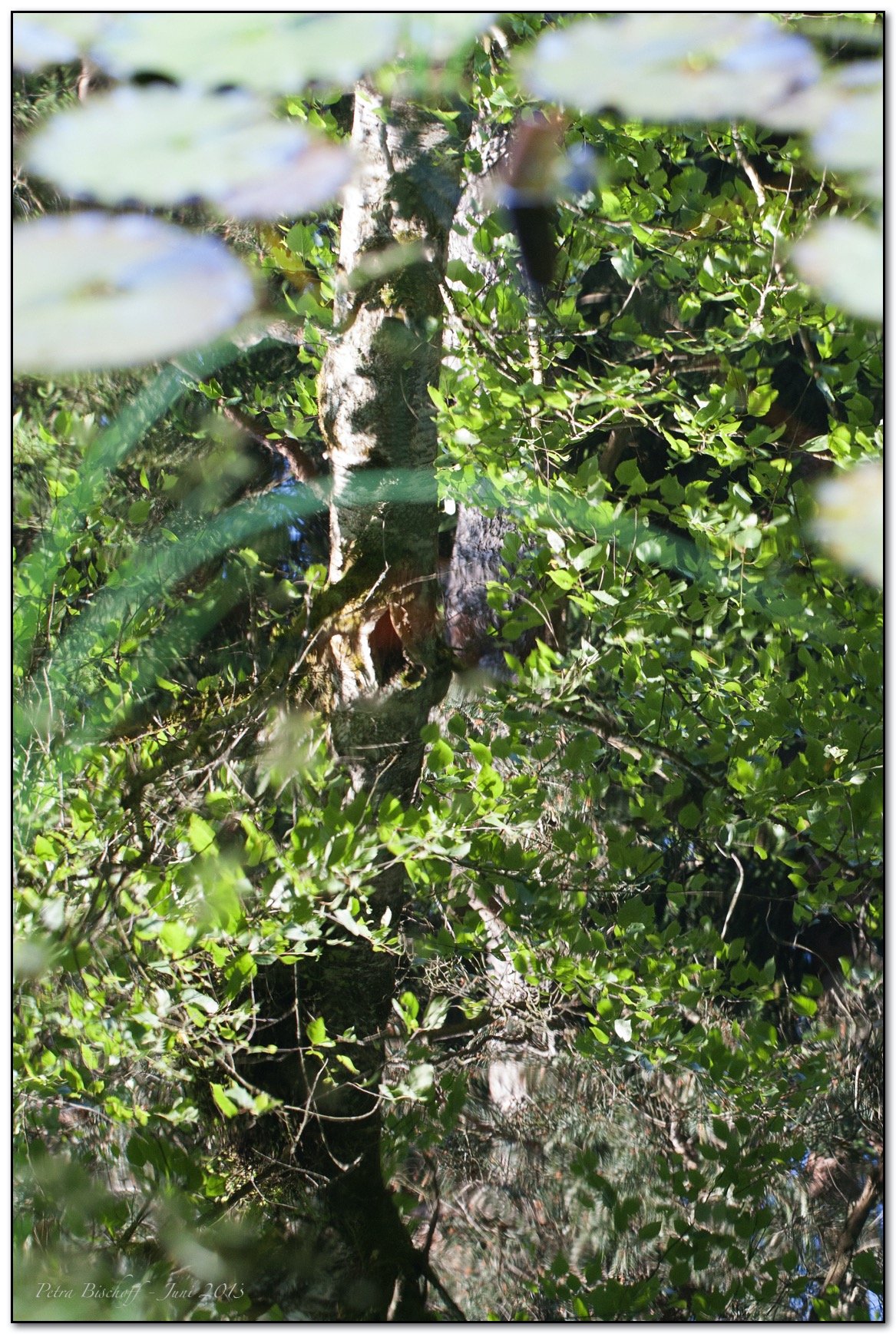 &copy; Petra Bischoff