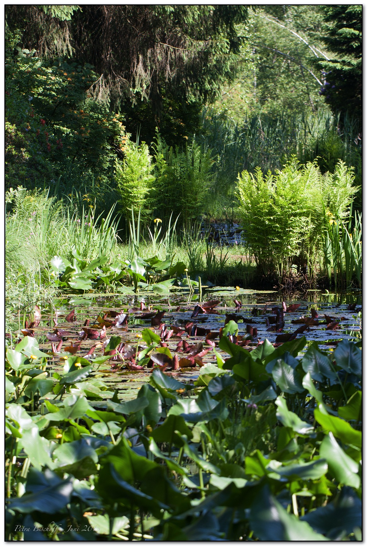 &copy; Petra Bischoff