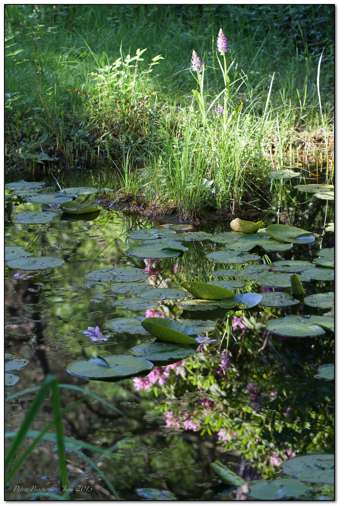 &copy; Petra Bischoff