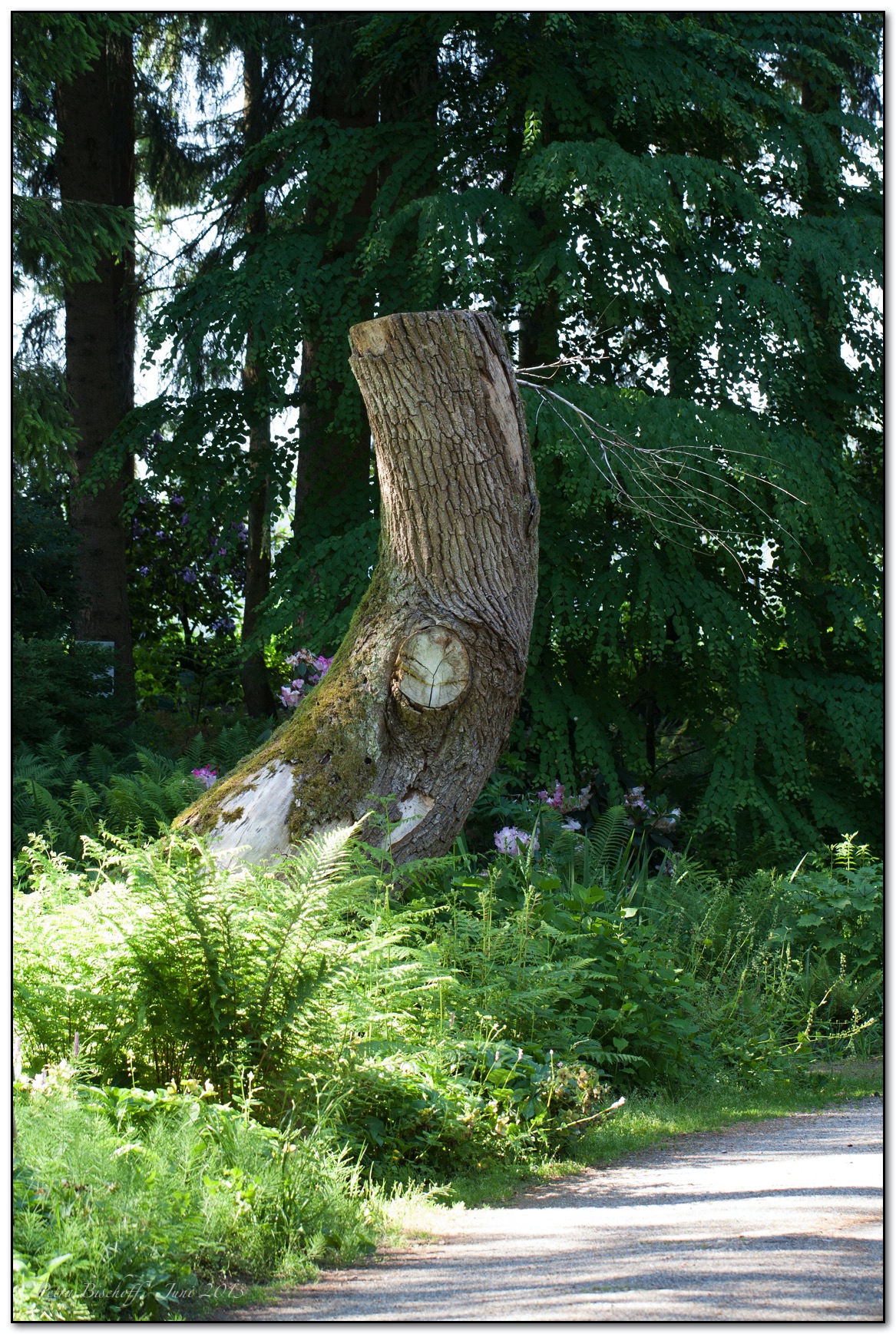 &copy; Petra Bischoff