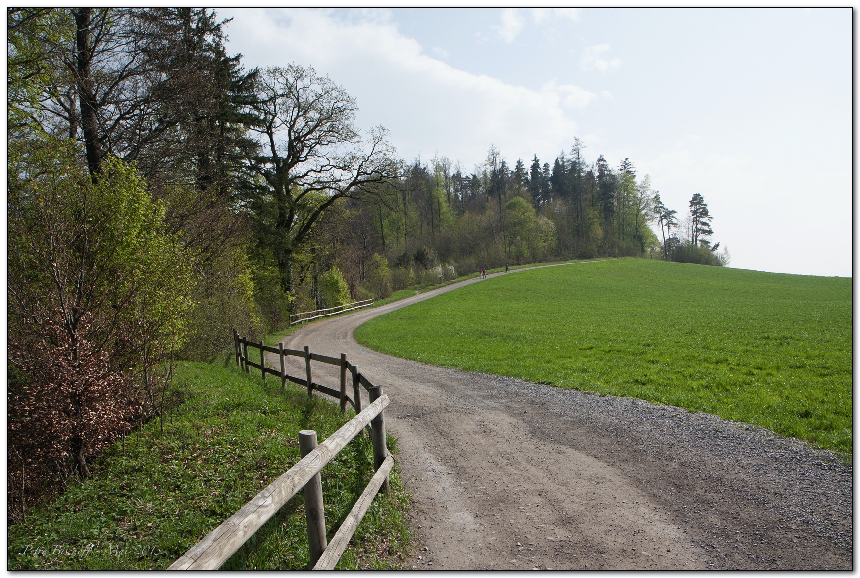 &copy; Petra Bischoff