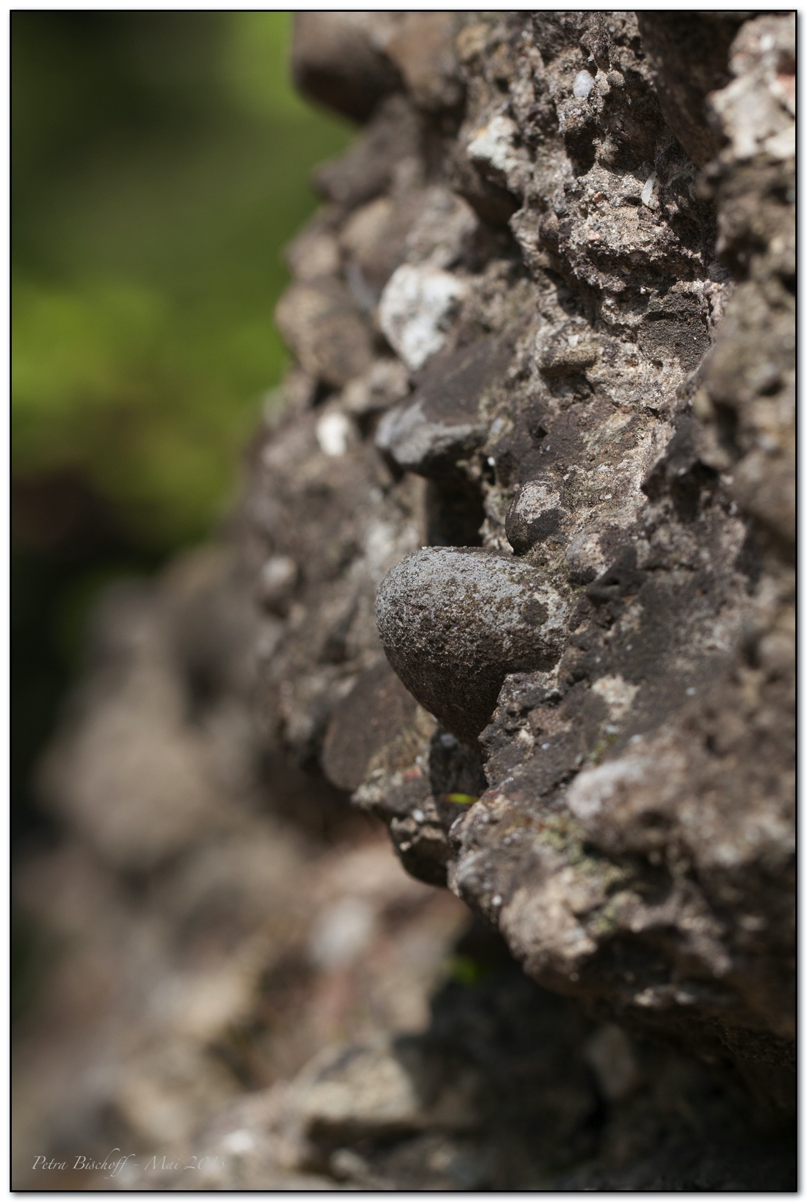 &copy; Petra Bischoff