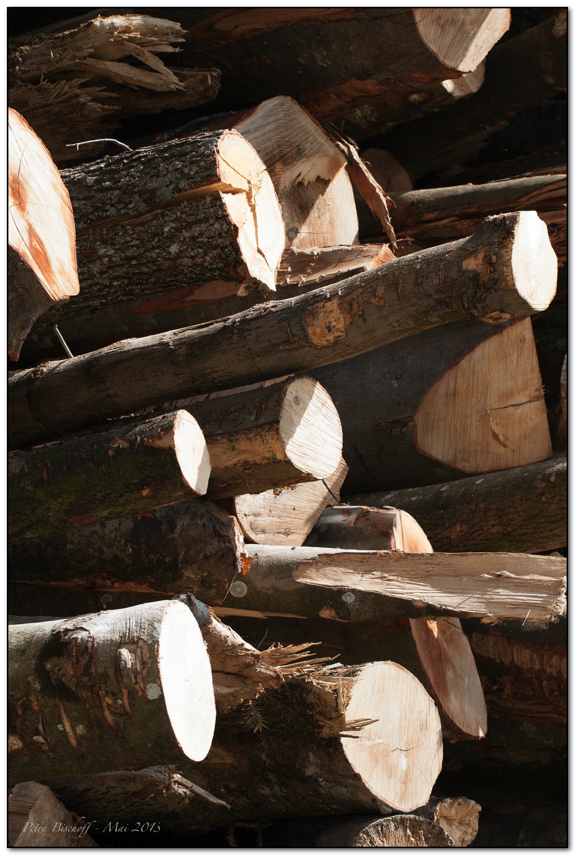 &copy; Petra Bischoff