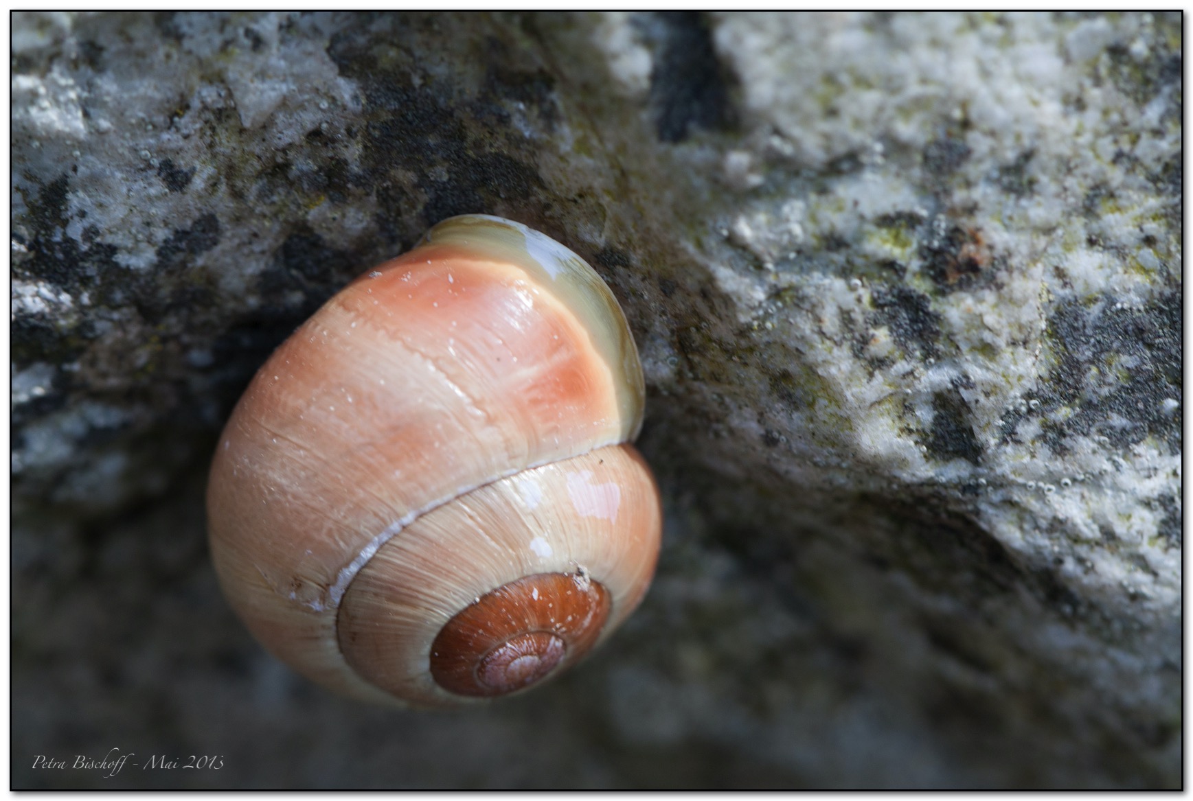 &copy; Petra Bischoff