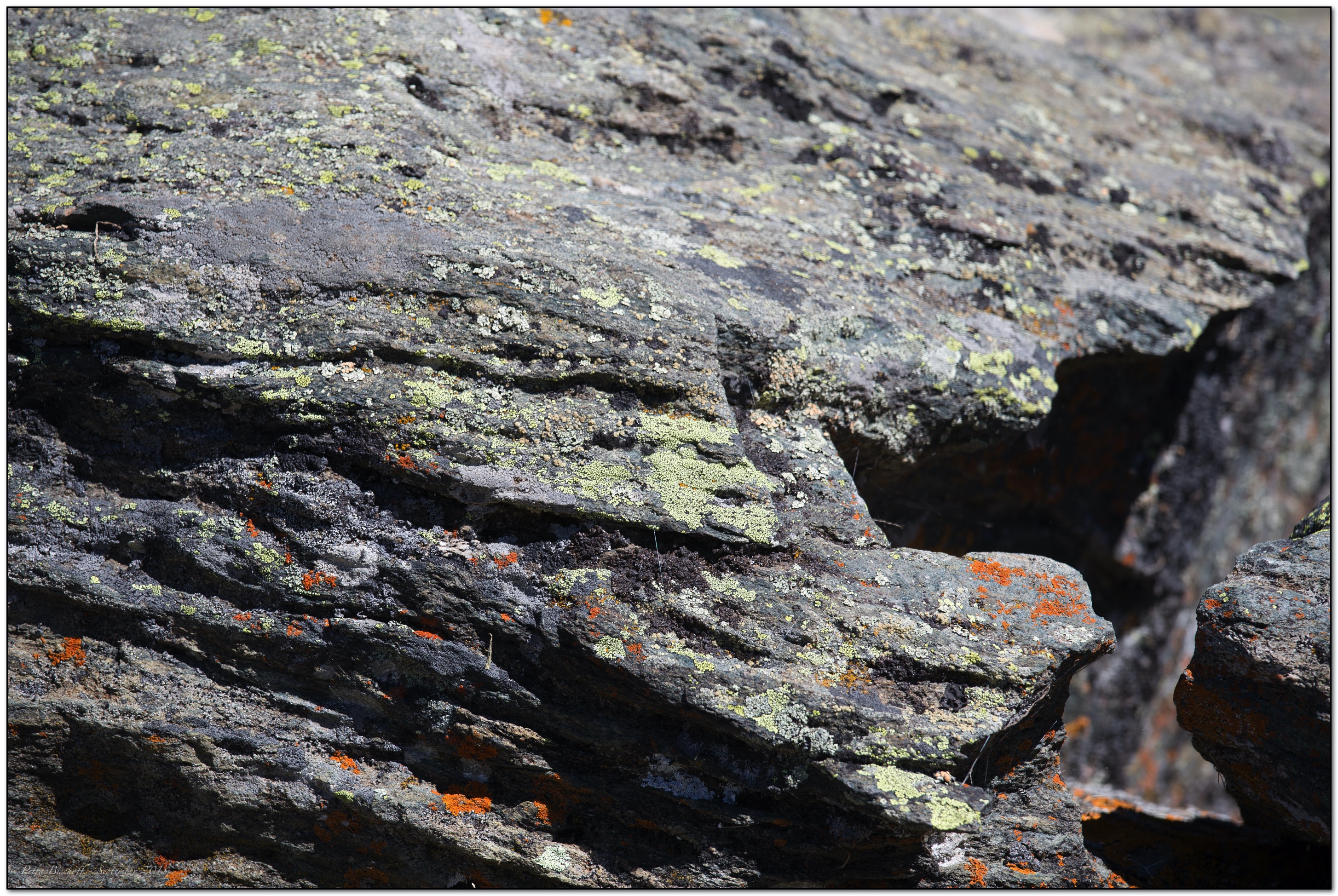 &copy; Petra Bischoff