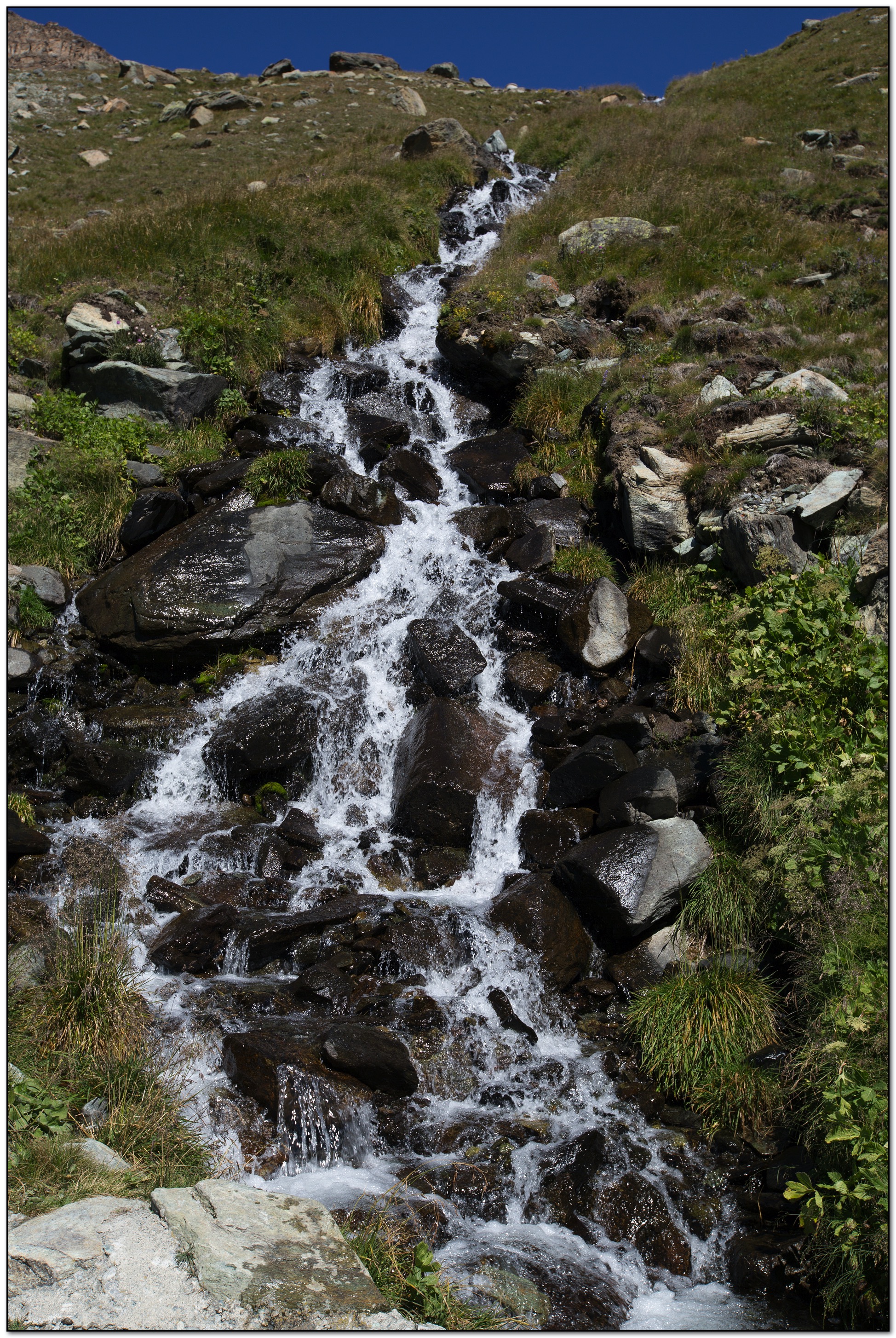 &copy; Petra Bischoff