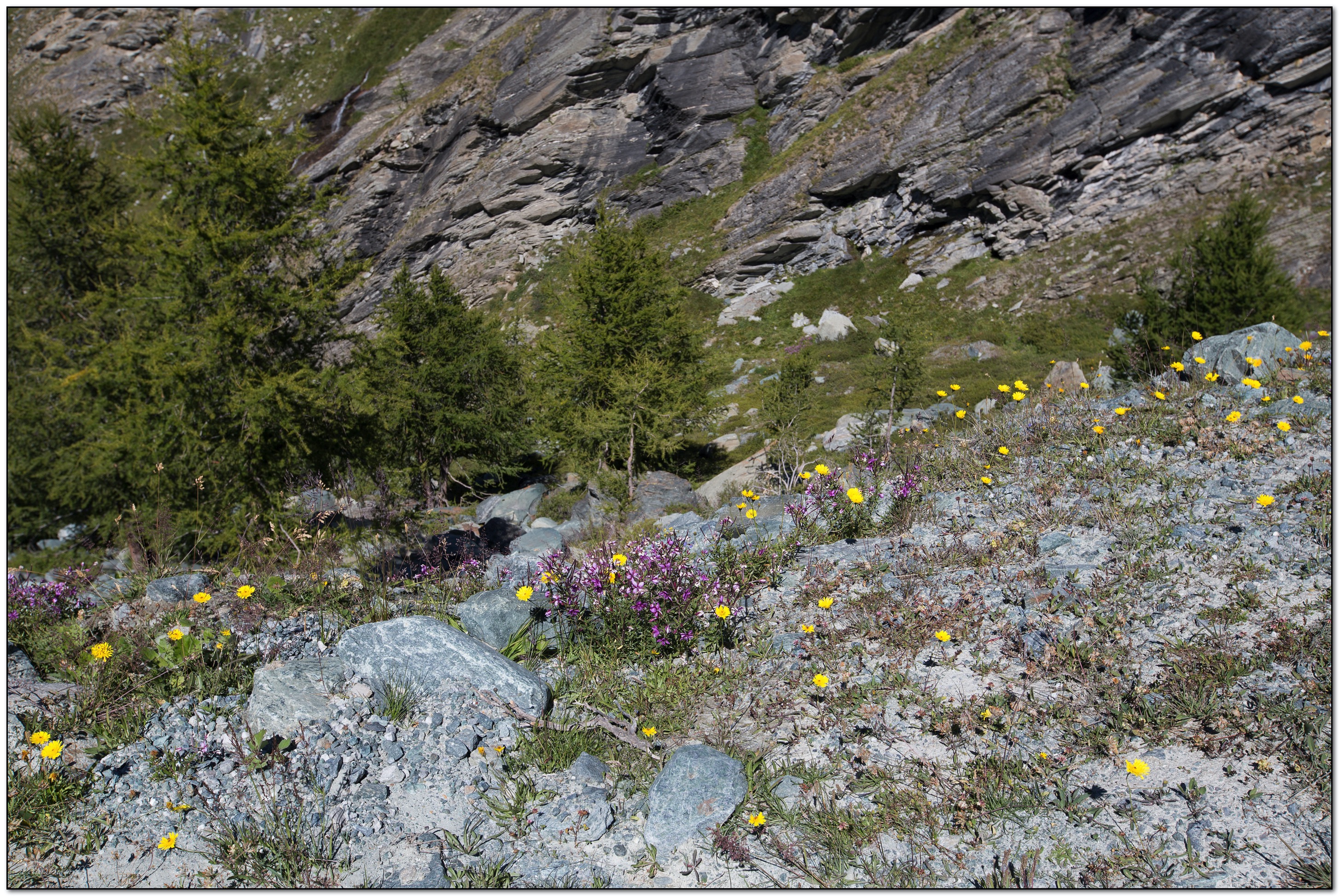 &copy; Petra Bischoff