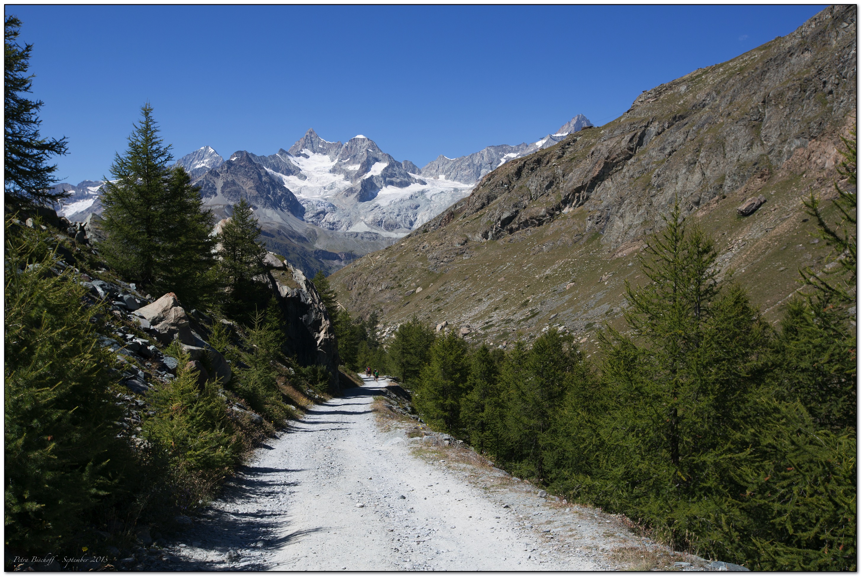 &copy; Petra Bischoff