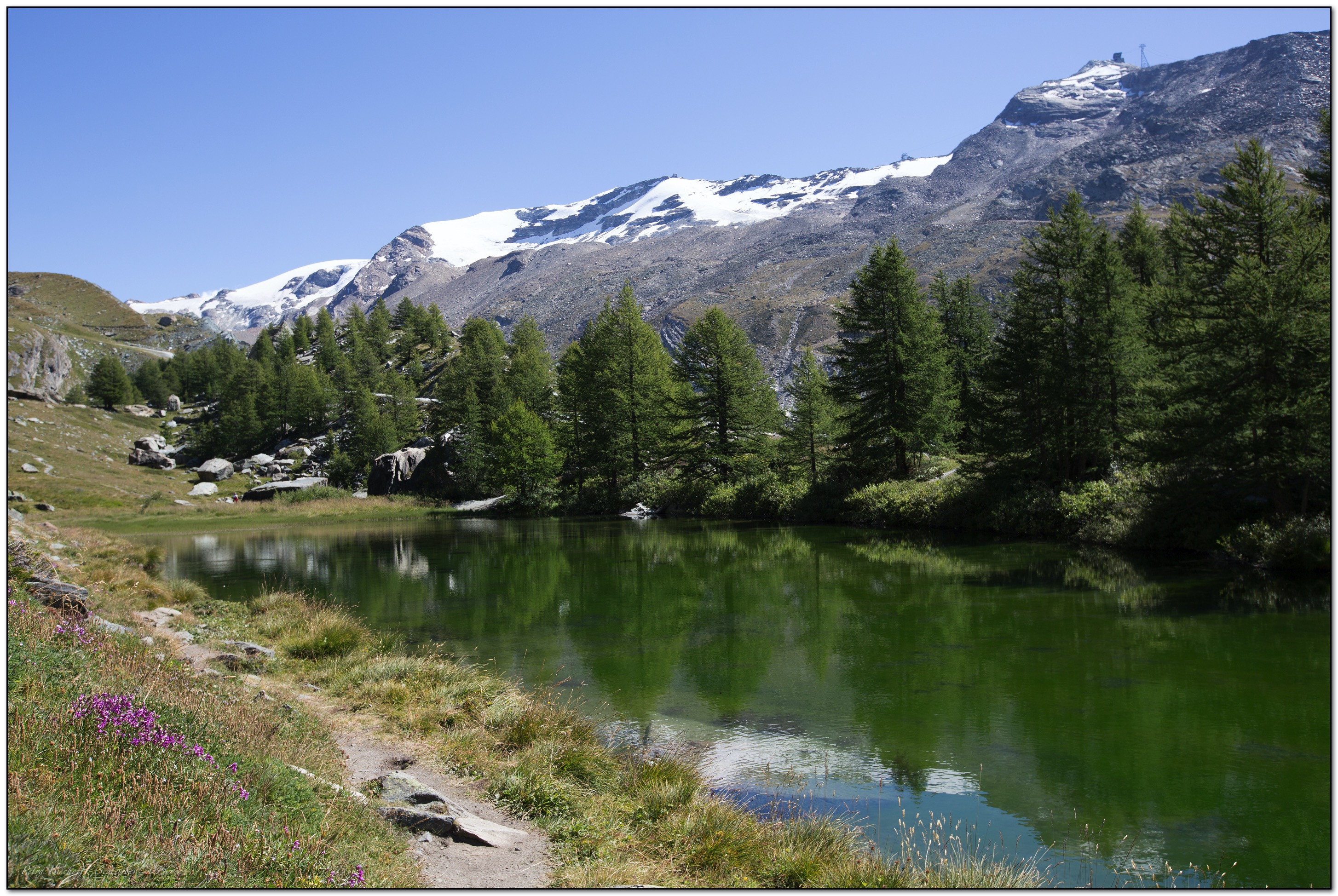 &copy; Petra Bischoff