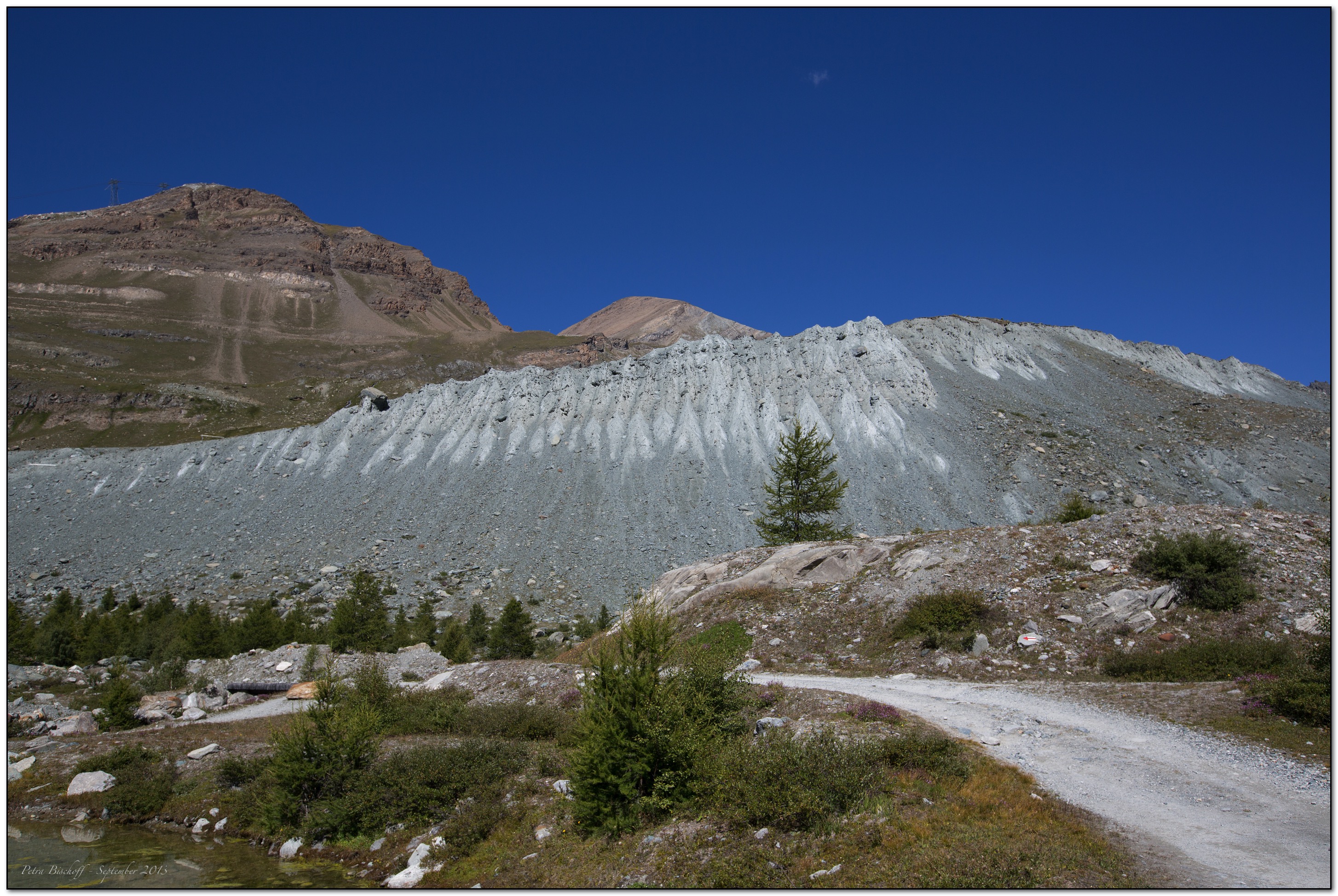 &copy; Petra Bischoff