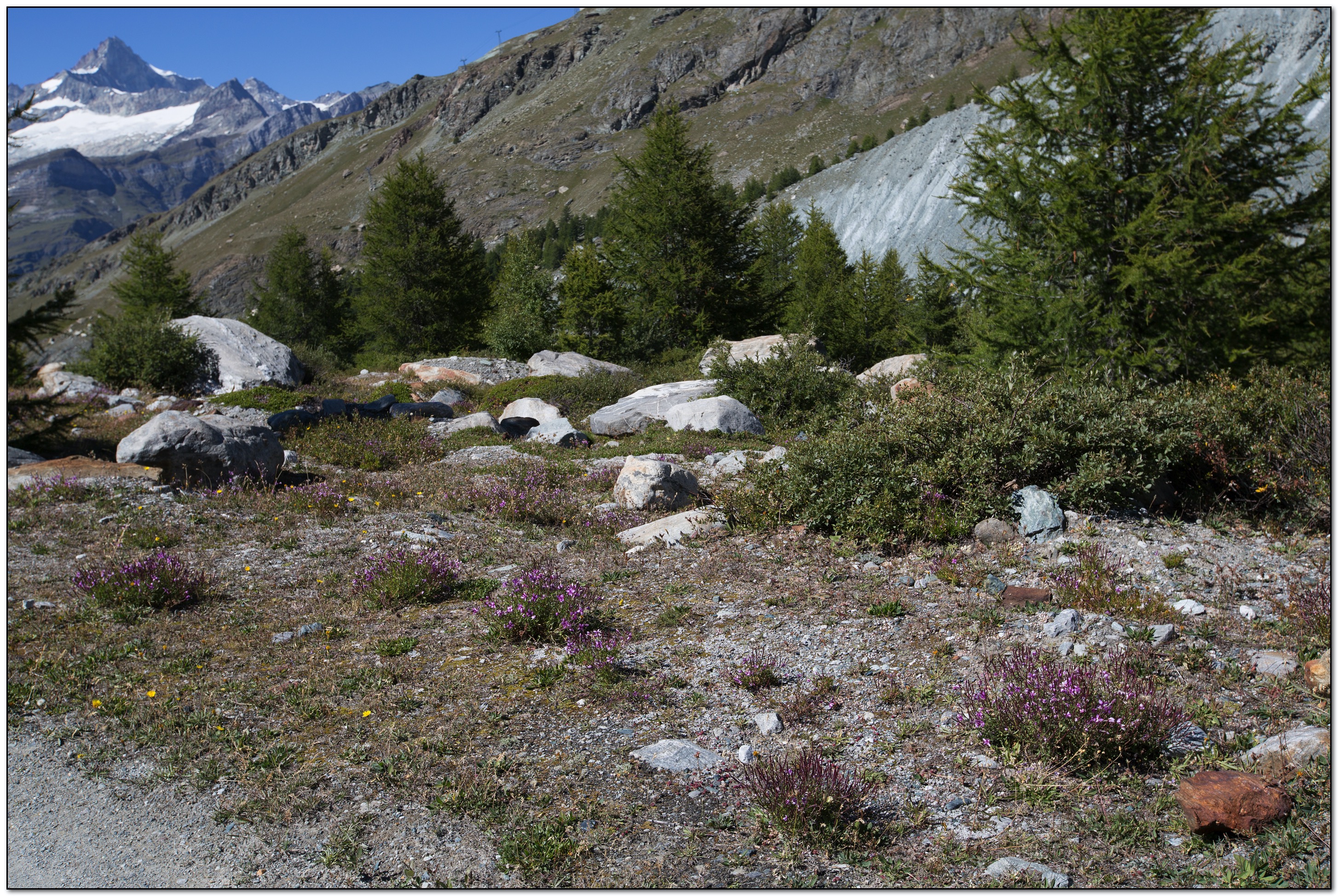 &copy; Petra Bischoff