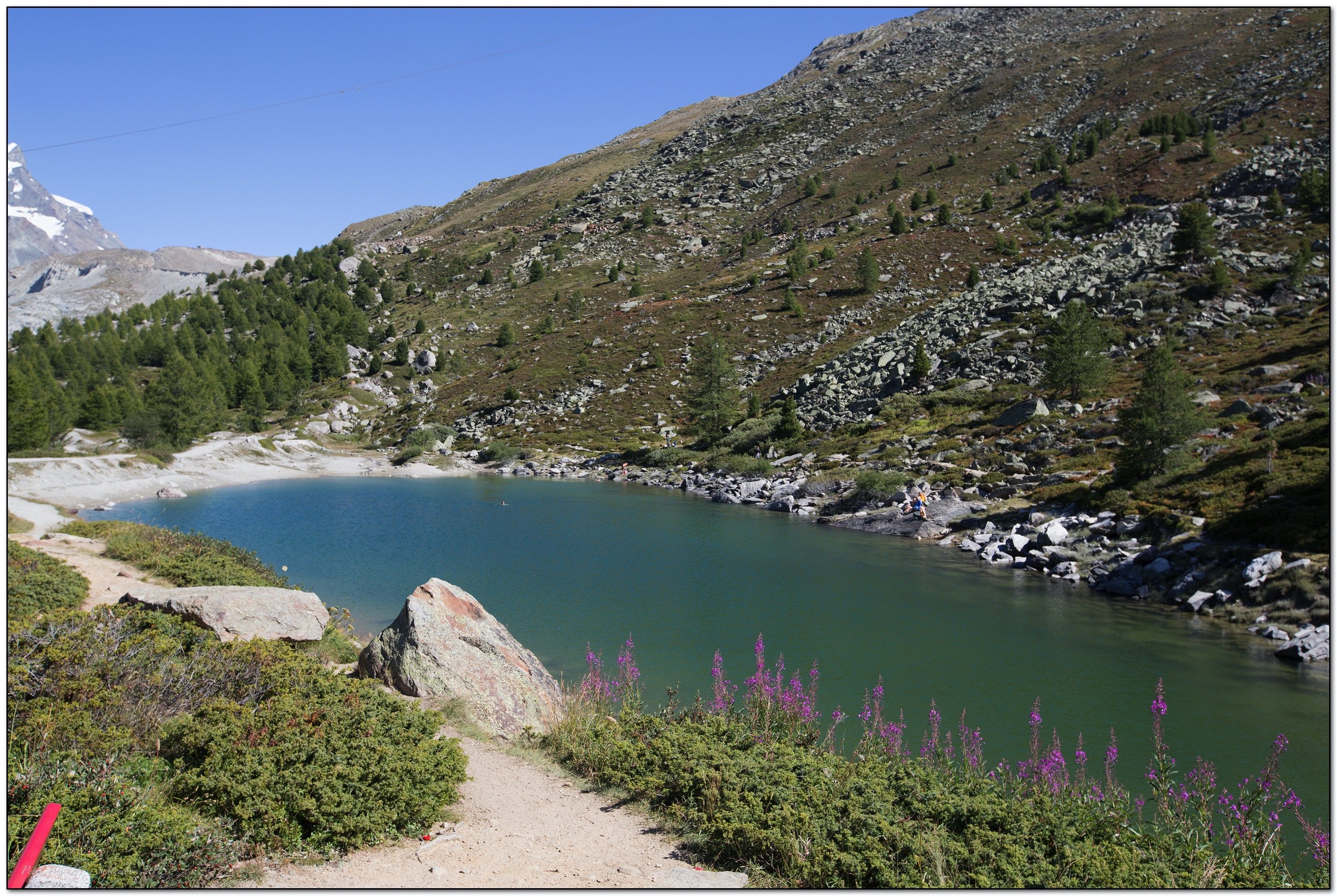 &copy; Petra Bischoff