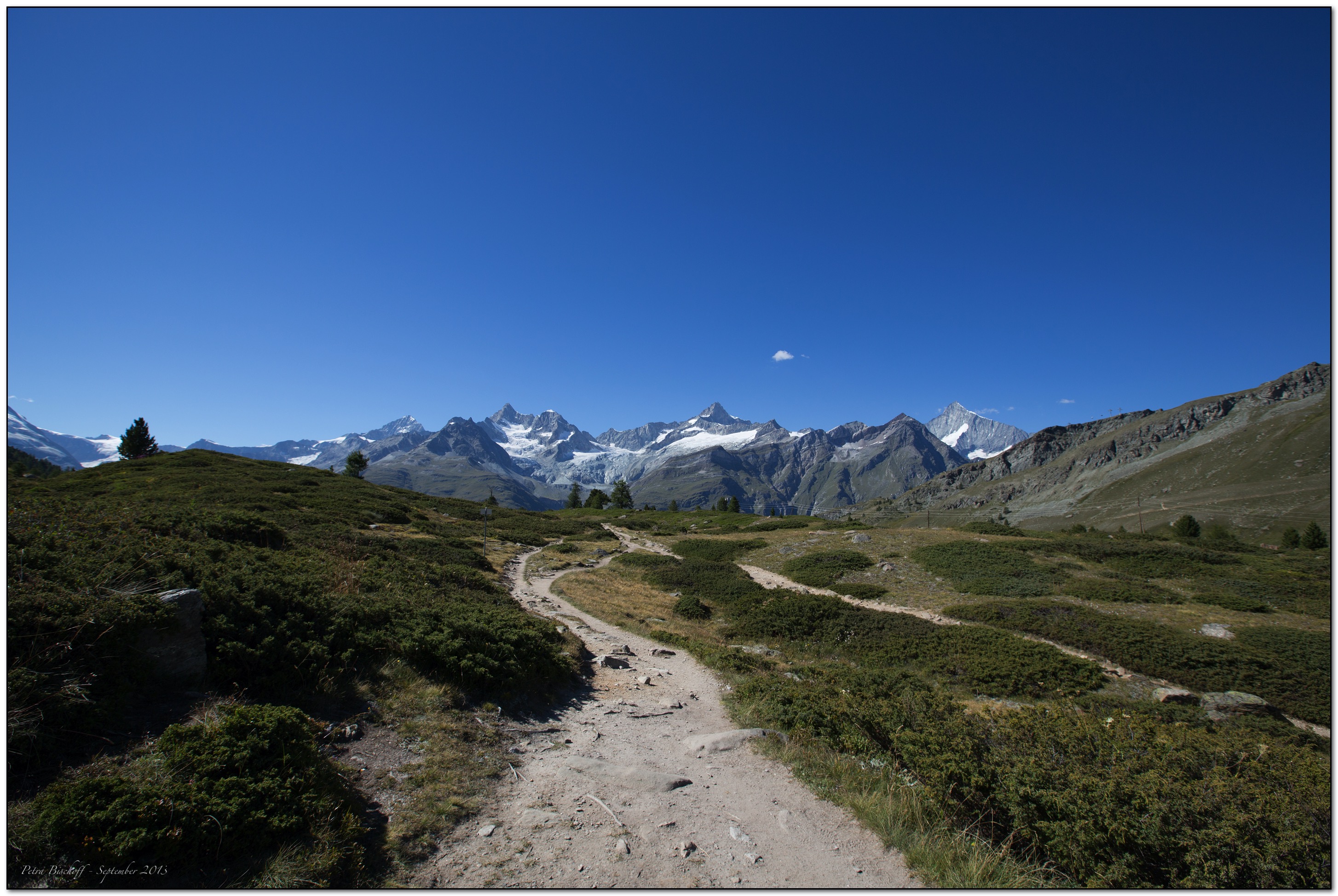 &copy; Petra Bischoff