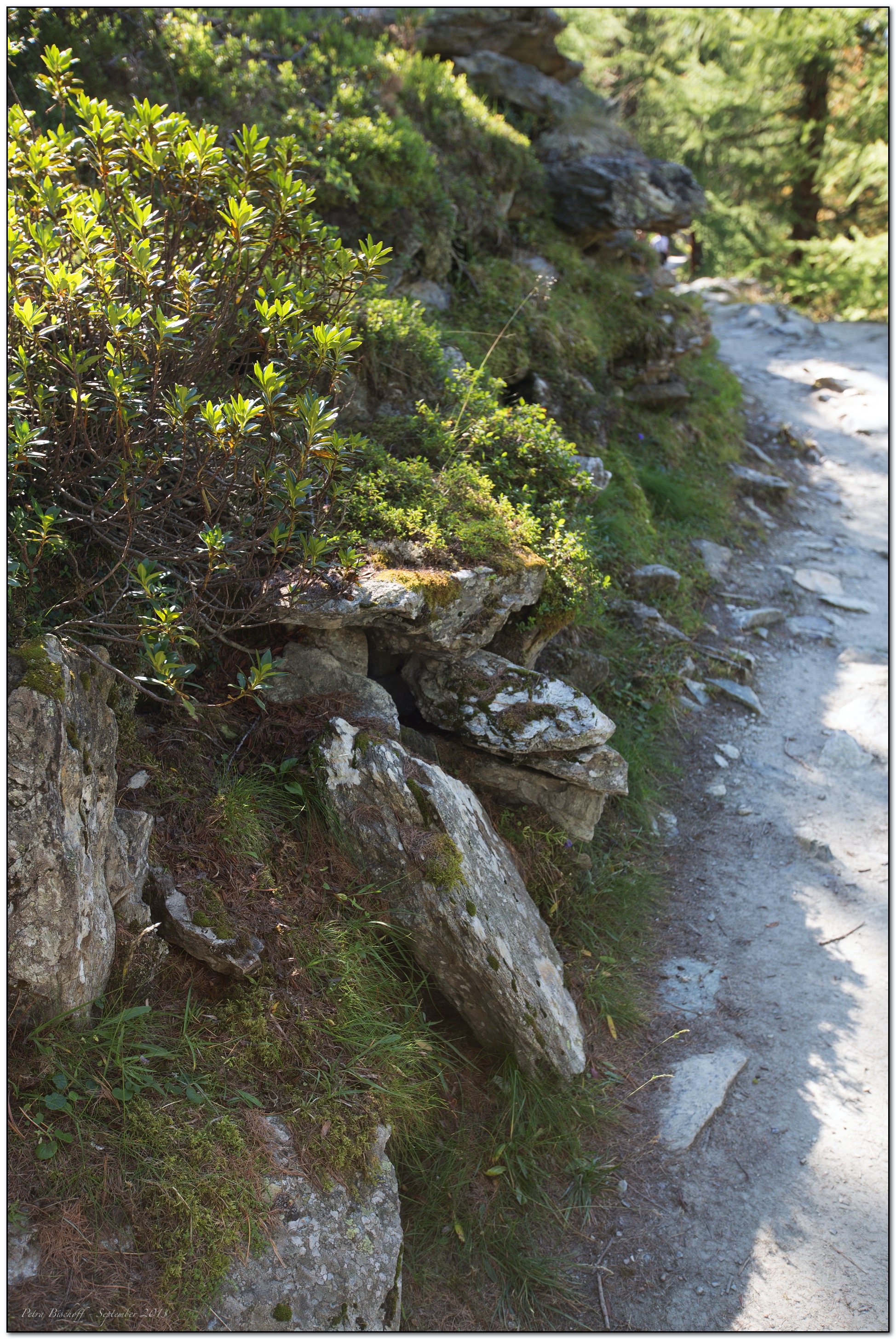 &copy; Petra Bischoff